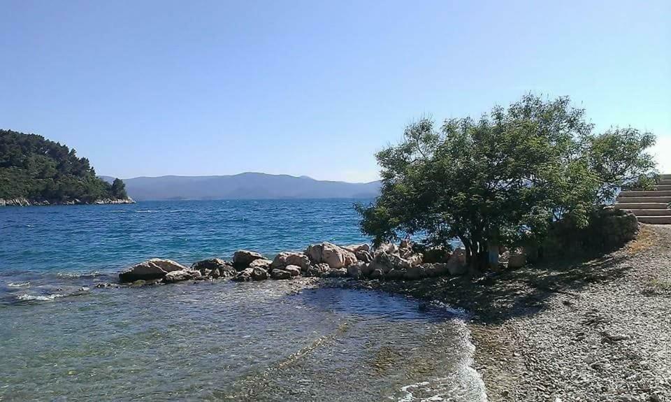 Apartmani Kremena Small Beach 200M Klek Extérieur photo